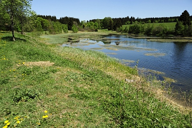 Großer Sumpfteich (2) Buntenbock Oberharzer Wasserwirtschaft Bilder